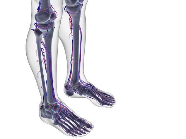 Cirurgião vascular é médico de varizes? Só cuida das pernas?